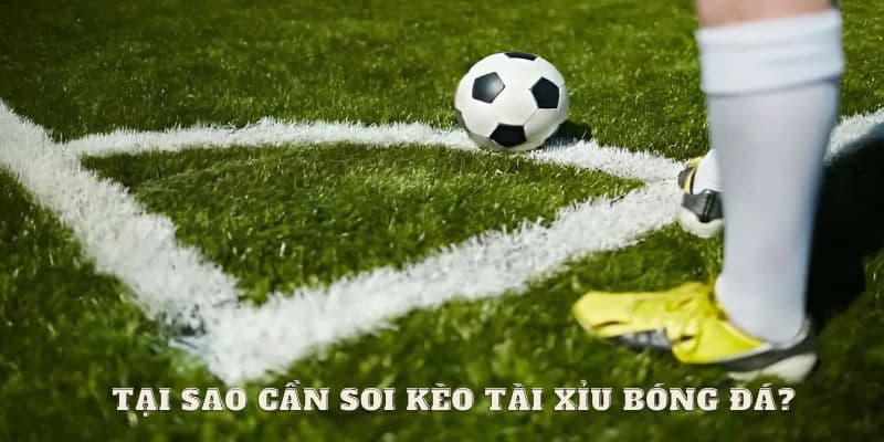 kinh nghiệm soi kèo tài xỉu bóng đá Vì sao cần tích lũy kinh nghiệm soi kèo tài xỉu bóng đá?