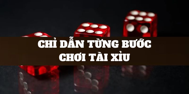 Chỉ dẫn từng bước chơi tài xỉu