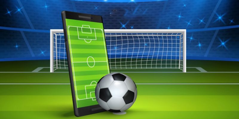 Kèo Dụ - Hướng Dẫn Nhận Biết Kèo Dụ Một Cách Nhanh Chóng