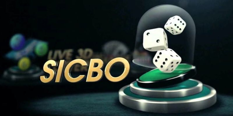Sicbo 6686 - Chiến Thuật Tham Gia Sicbo Ai Cũng Nên Biết
