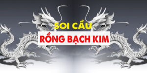 soi cau rong bach kim 1