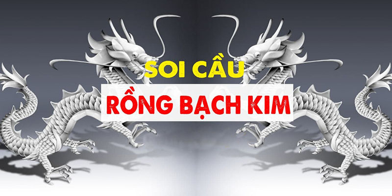 soi cau rong bach kim 1