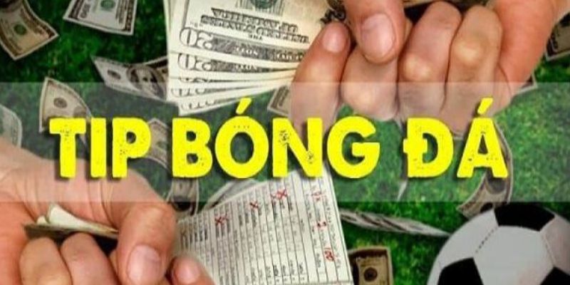 Các dạng tips bóng đá là gì?