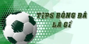 tips bong da la gi