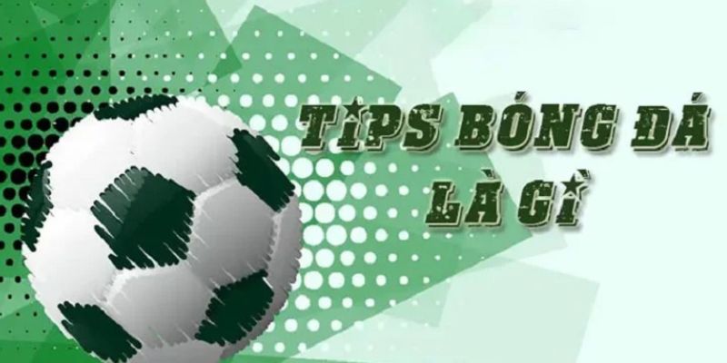 tips bong da la gi